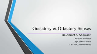 Gustatory & Olfactory Senses
Dr. AniketA. Shilwant
Assistant Professor
Dept. of Kriya Sharir
GJP-IASR,CVM University
 