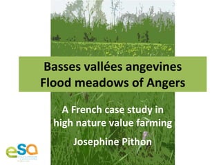 Basses vallées angevines
Flood meadows of Angers
A French case study in
high nature value farming
Josephine Pithon
 