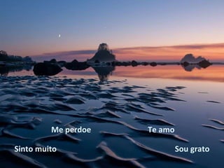 Sinto muito Me perdoe Te amo Sou grato 