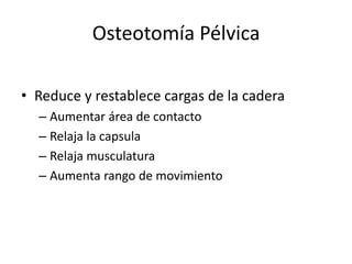Osteotomía Pélvica
• Reduce y restablece cargas de la cadera
– Aumentar área de contacto
– Relaja la capsula
– Relaja musculatura
– Aumenta rango de movimiento
 