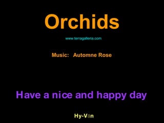 Orchids   Music:  Automne Rose Have a nice and happy day Hy-Văn www.terragalleria.com 
