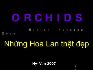 O R C H I D S Những Hoa Lan thật đẹp Hy-Văn 2007 Music:  Automne Rose Auto 