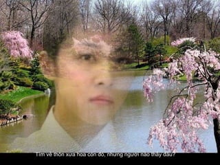 Tìm về thôn xưa hoa còn đó, nhưng người nào thấy đâu?  