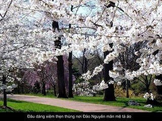 Đâu dáng xiêm thẹn thùng nơi Đào Nguyên mân mê tà áo  