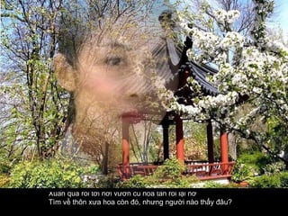 Xuân qua rồi tới nơi vườn cũ hoa tàn rồi lại nở  Tìm về thôn xưa hoa còn đó, nhưng người nào thấy đâu?  