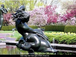 Người đẹp vườn đào gieo bao sầu nhớ  Giờ này nơi nao giai nhân mùa cũ   