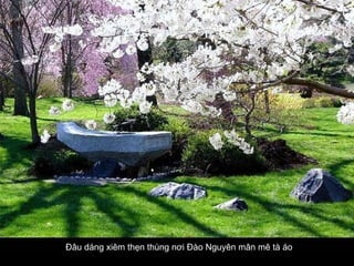 Đâu dáng xiêm thẹn thùng nơi Đào Nguyên mân mê tà áo   