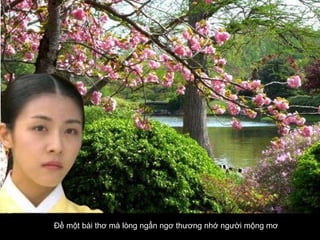 Đề một bài thơ mà lòng ngẩn ngơ thương nhớ người mộng mơ   