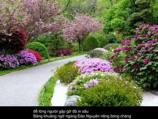 để lòng người gặp gỡ đã in sâu  Bâng khuâng ngỡ ngàng Đào Nguyên riêng bóng chàng   