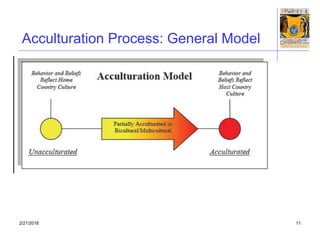 Hoag (2015) acculturation and globalization | PPTX