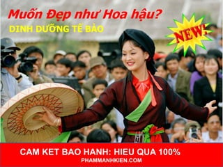 Muốn Đẹp như Hoa hậu?
DINH DƯỠNG TẾ BÀO

CAM KET BAO HANH: HIEU QUA 100%
PHAMMANHKIEN.COM

Hãy al

 