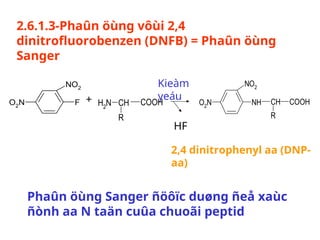 Comprehensive Overview of Amino Acids and Protein Chemistry | PPT