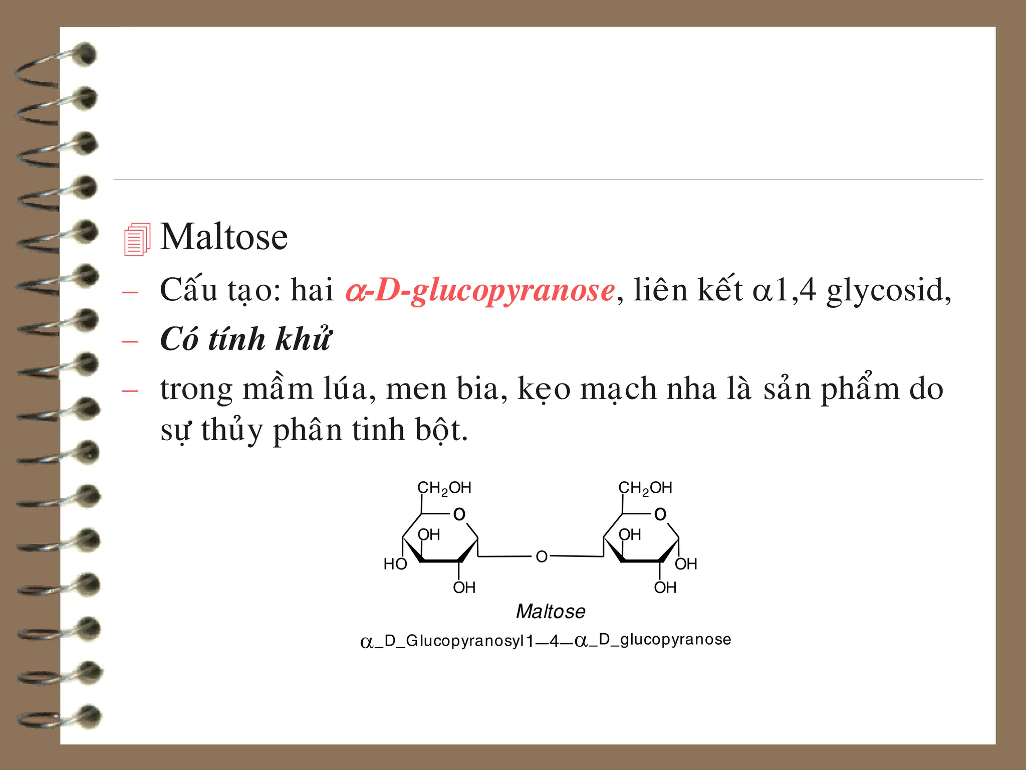  Maltose
 Caáu taïo: hai a-D-glucopyranose, lieân keát a1,4 glycosid,
 Coù tính khöû
 trong maàm luùa, men bia, keïo maïch nha laø saûn phaåm do
söï thuûy phaân tinh boät.
1_4_
_D_Glucopyranosyl
a _D_glucopyranose
a
Maltose
o
OH
OH
HO
CH2OH
O OH
o
OH
OH
CH2OH
 