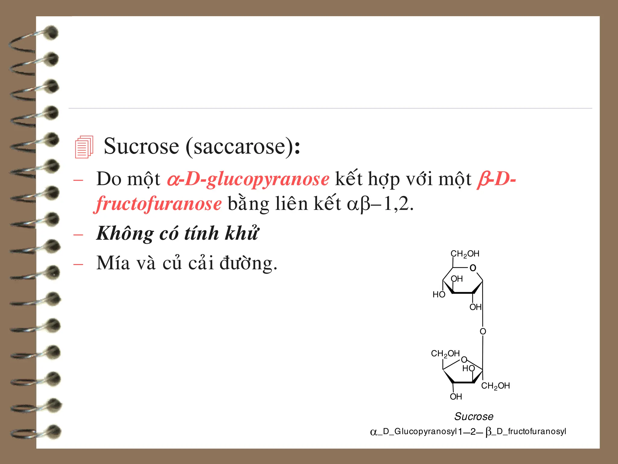  Sucrose (saccarose):
 Do moät a-D-glucopyranose keát hôïp vôùi moät b-D-
fructofuranose baèng lieân keát ab–1,2.
 Khoâng coù tính khöû
 Mía vaø cuû caûi ñöôøng.
1_2_b_D_fructofuranosyl
_D_Glucopyranosyl
a
Sucrose
o
OH
OH
HO
CH2OH
O
CH2OH
OH
O
HO
CH2OH
 