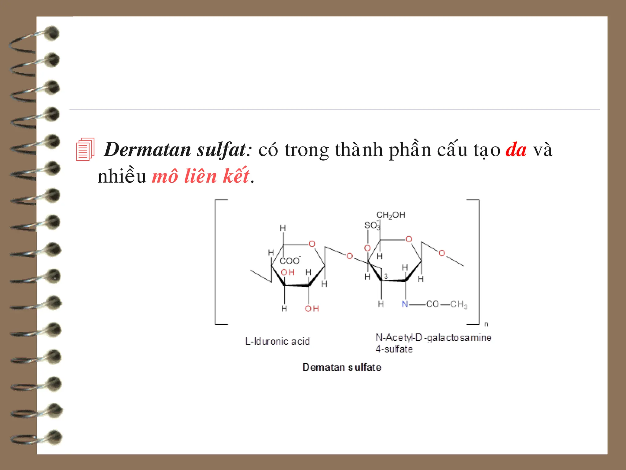  Dermatan sulfat: coù trong thaønh phaàn caáu taïo da vaø
nhieàu moâ lieân keát.
 