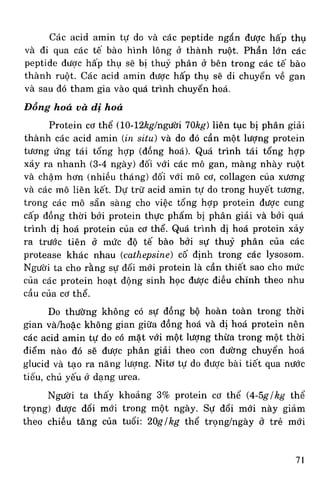 Hoa hoc thuc pham
