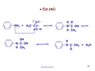 • Cơ chế:

NH2

O δ−
+ H3C C δ+
O H

OH
N C OH
H CH3

H ON+ C OH
H CH3

H
N C CH3 + H2O
O

http://hhud.tvu.edu.vn

19

 