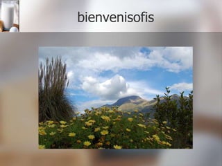bienvenisofis