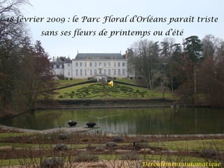 18 février 2009 : le Parc Floral d’Orléans paraît triste
sans ses fleurs de printemps ou d’été

Déroulement automatique

 