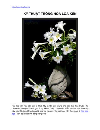 http://www.tanghoa.vn/



              KỸ THUẬT TRỒNG HOA LOA KÈN




Hoa loa kèn hay còn gọi là Huệ Tây là tên gọi chung cho các loài hoa thuộc họ
Liliaceae (cũng có sách ghi là họ Hành Tỏi). Tuy nhiên phần lớn các hoa thuộc họ
này có một đặc điểm chung là hoa loe ra nhìn như cái kèn, nên được gọi là hoa Loa
Kèn – tên đặt theo hình dáng bông hoa.
 