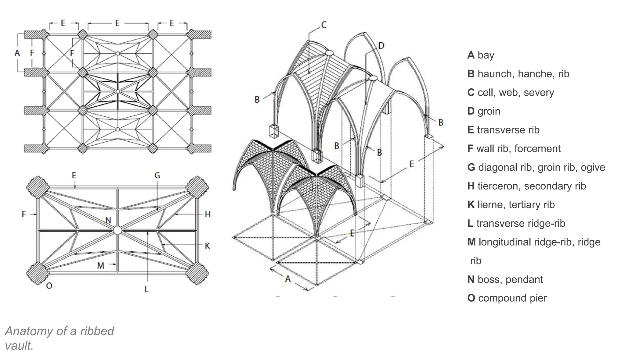 Anatomy of a ribbed
vault.
A bay
B haunch, hanche, rib
C cell, web, severy
D groin
E transverse rib
F wall rib, forcement
G diagonal rib, groin rib, ogive
H tierceron, secondary rib
K lierne, tertiary rib
L transverse ridge-rib
M longitudinal ridge-rib, ridge
rib
N boss, pendant
O compound pier
 