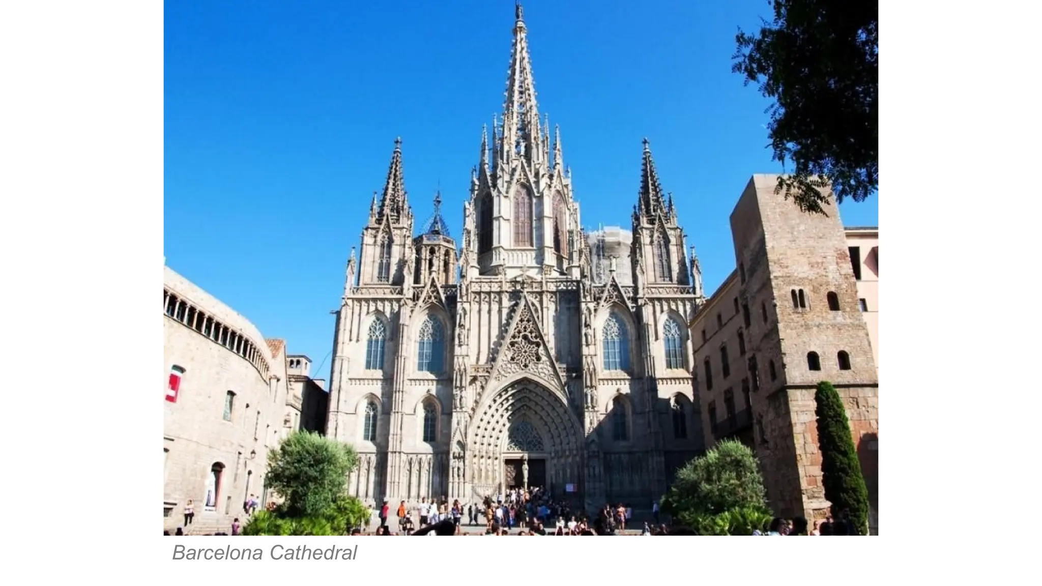 Barcelona Cathedral
 