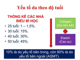 Yếu tố da theo độ tuổi
THỐNG KÊ CÁC NHÀ
BIỂU BÌ HỌC
• 25 tuổi: 1 – 1,5%.
• 30 tuổi: 15%.
• 40 tuổi: 30%.
• 50 tuổi: 45%.
Collagen
(Sợi liên kết)
Elastin
(Cao su)
10% là do yếu tố bên trong, còn 90% là do
yếu tố bên ngoài (ASMT).
 
