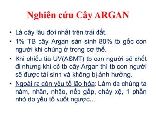 Nghiên cứu Cây ARGAN
• Là cây lâu đời nhất trên trái đất.
• 1% TB cây Argan sản sinh 80% tb gốc con
người khi chúng ở trong cơ thể.
• Khi chiếu tia UV(ASMT) tb con người sẽ chết
đi nhưng khi có tb cây Argan thì tb con người
sẽ được tái sinh và không bị ảnh hưởng.
• Ngoài ra còn yếu tố lão hóa: Làm da chúng ta
nám, nhăn, nhão, nếp gấp, chảy xệ, 1 phần
nhỏ do yếu tố vuốt ngược...
 