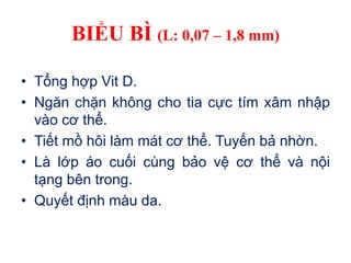 BIỂU BÌ (L: 0,07 – 1,8 mm)
• Tổng hợp Vit D.
• Ngăn chặn không cho tia cực tím xâm nhập
vào cơ thể.
• Tiết mồ hôi làm mát cơ thể. Tuyến bả nhờn.
• Là lớp áo cuối cùng bảo vệ cơ thể và nội
tạng bên trong.
• Quyết định màu da.
 