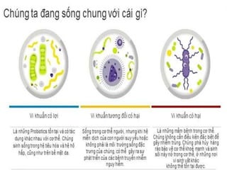 Hoang linh   skincare