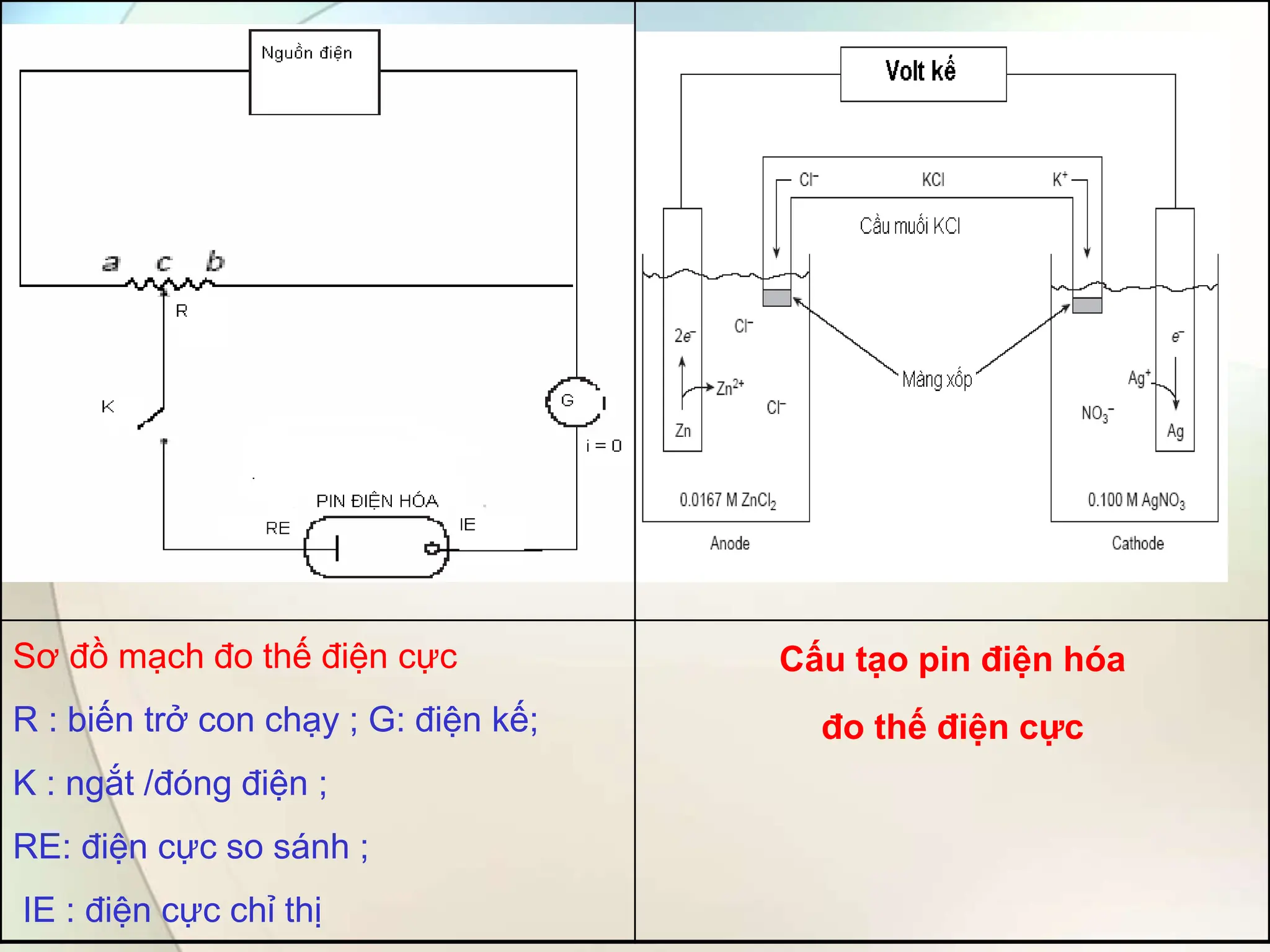 Sơ đồ mạch đo thế điện cực
R : biến trở con chạy ; G: điện kế;
K : ngắt /đóng điện ;
RE: điện cực so sánh ;
IE : điện cực chỉ thị
Cấu tạo pin điện hóa
đo thế điện cực
 