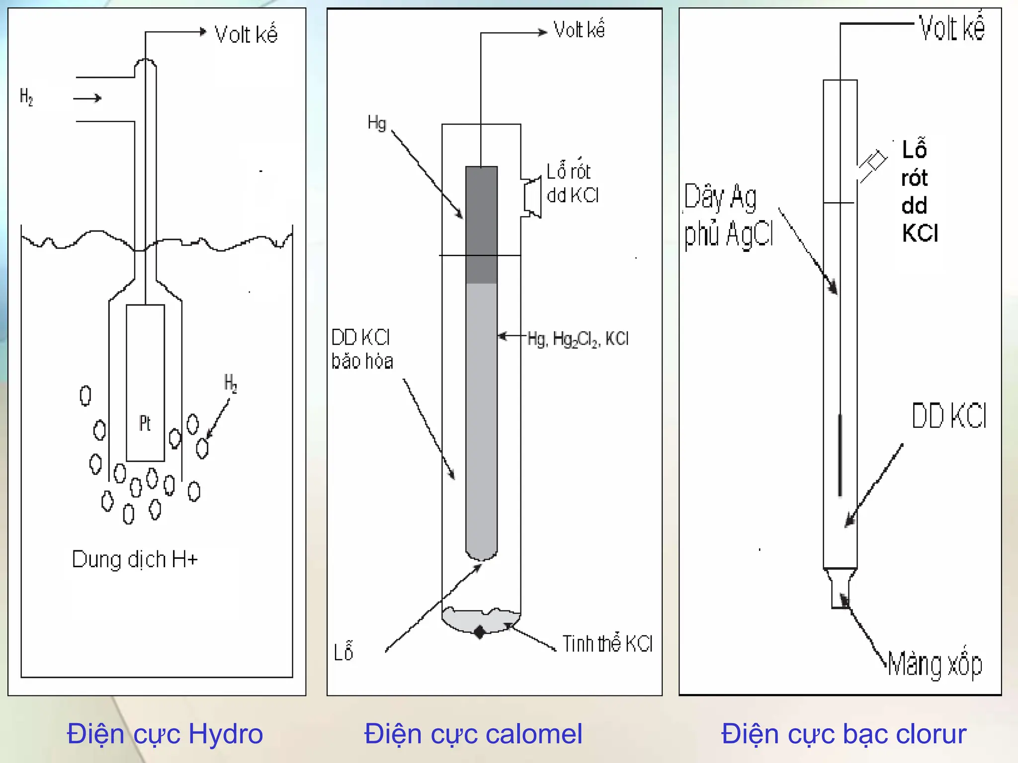 Điện cực Hydro Điện cực calomel Điện cực bạc clorur
 
