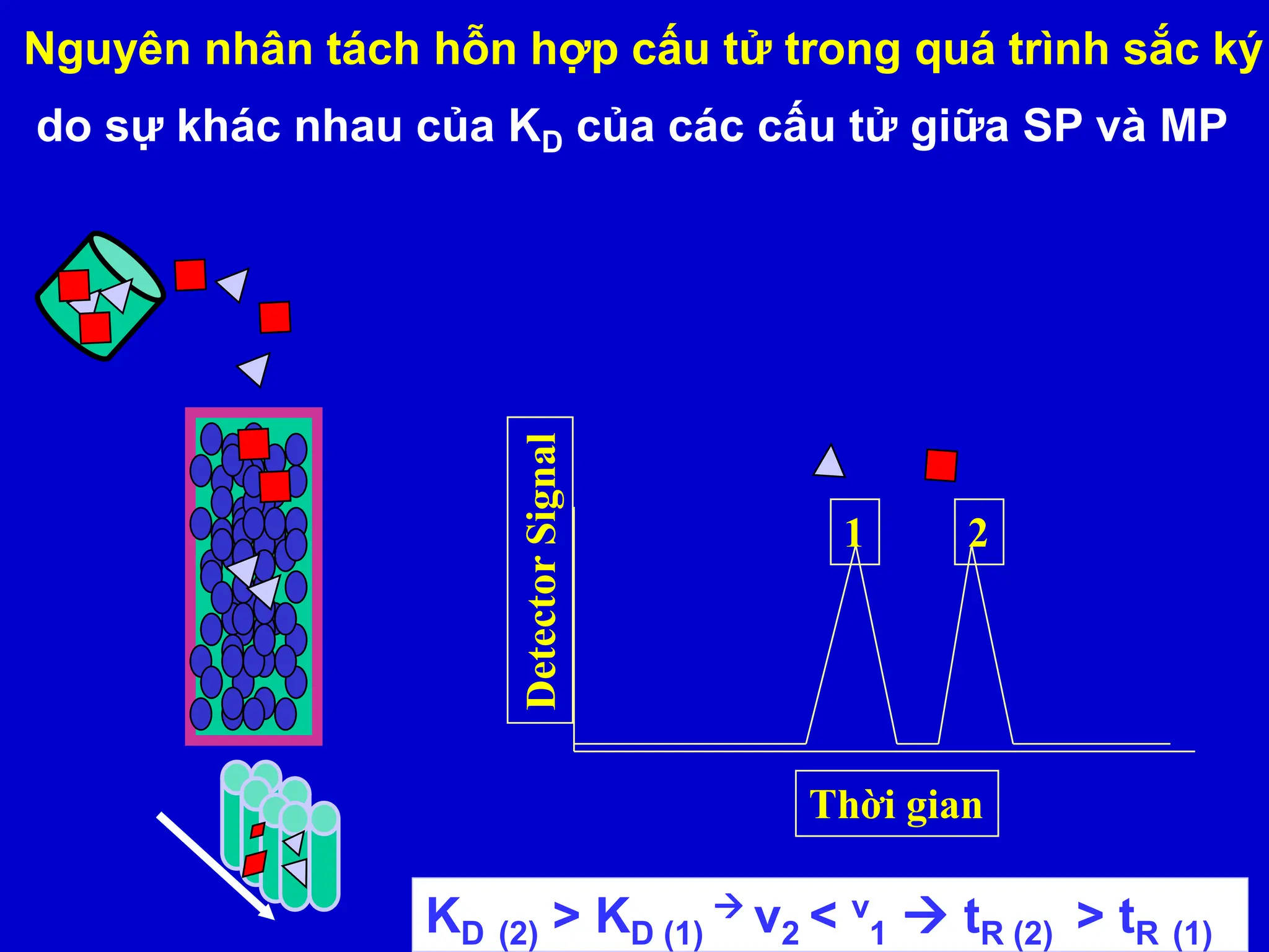 Thời gian
Detector
Signal 1 2
Nguyên nhân tách hỗn hợp cấu tử trong quá trình sắc ký
do sự khác nhau của KD của các cấu tử giữa SP và MP
KD (2) > KD (1)
 v2 < v
1  tR (2) > tR (1)
 