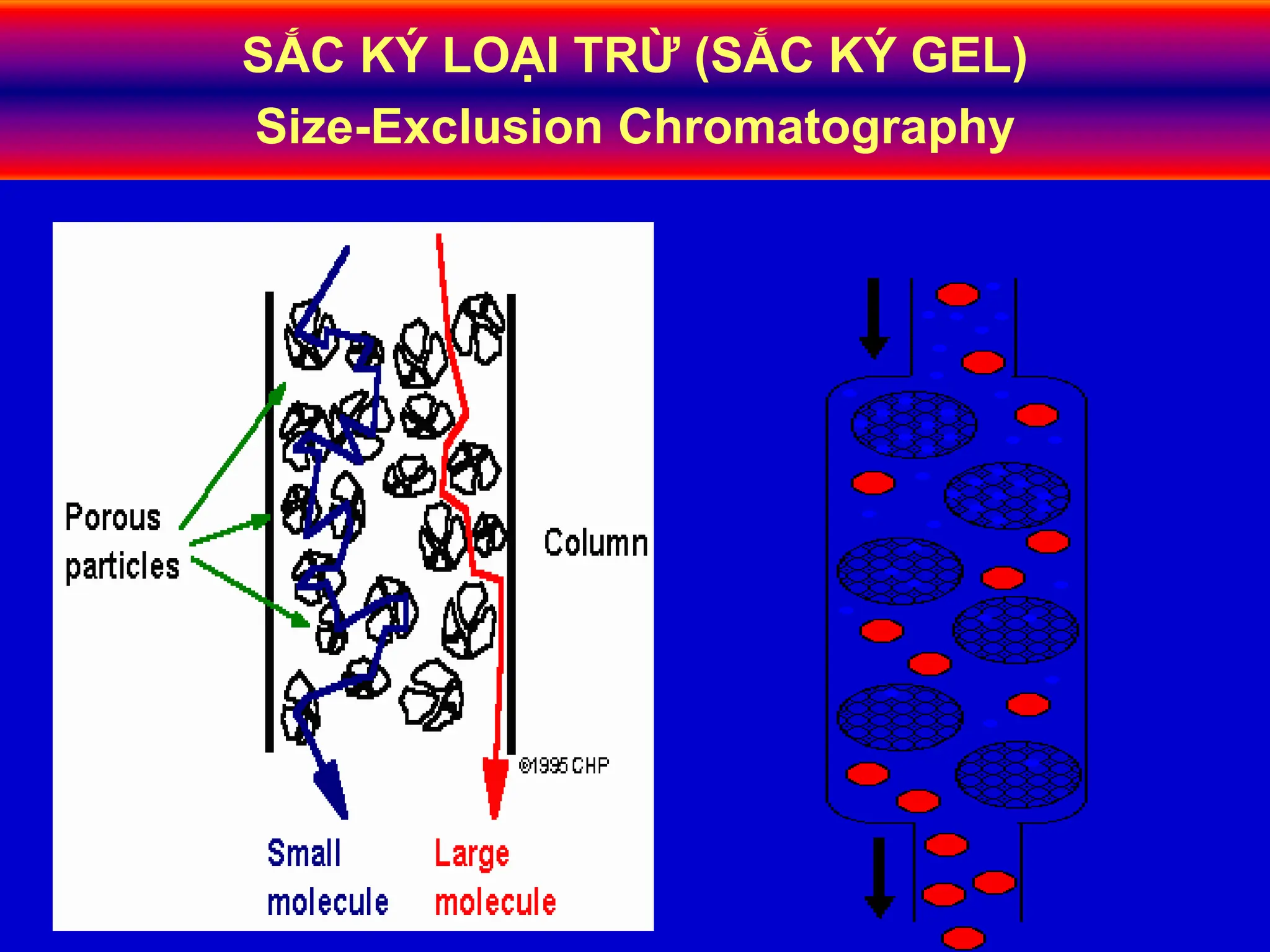 SẮC KÝ LOẠI TRỪ (SẮC KÝ GEL)
Size-Exclusion Chromatography
 