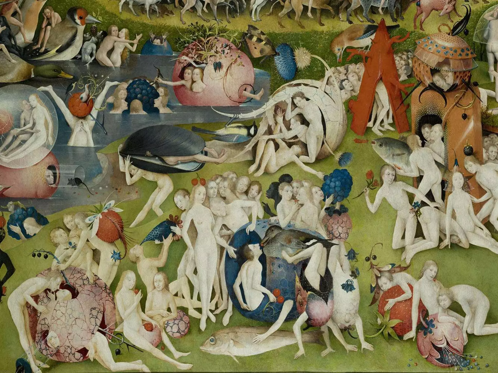 Constructing and revising a web development textbook