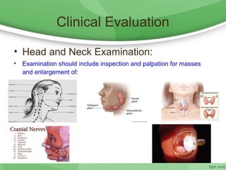 Clinical Evaluation
• Head and Neck Examination:
• Examination should include inspection and palpation for masses
and enlargement of:
 