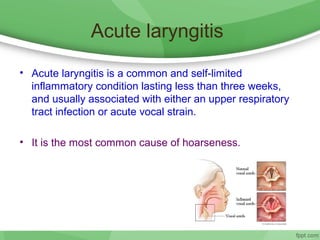 Acute laryngitis
• Acute laryngitis is a common and self-limited
inflammatory condition lasting less than three weeks,
and usually associated with either an upper respiratory
tract infection or acute vocal strain.
• It is the most common cause of hoarseness.
 