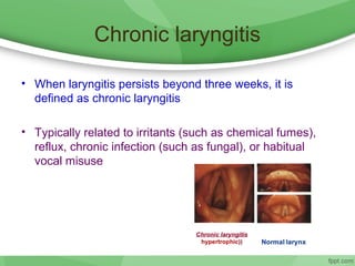 Chronic laryngitis
• When laryngitis persists beyond three weeks, it is
defined as chronic laryngitis
• Typically related to irritants (such as chemical fumes),
reflux, chronic infection (such as fungal), or habitual
vocal misuse
 
