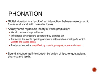  Glottal vibration is a result of an interaction between aerodynamic
forces and vocal fold muscular forces.
 Aerodynamic myoelasic theory of voice production:
 Vocal cords are kept adducted
 Infraglottic air pressure generated by exhaled air
 Air forces the cords opening and air is released as small puffs which
vibrate the vocal cords.
 Produced sound is amplified by mouth, pharynx, nose and chest.
 Sound is converted into speech by action of lips, tongue, palate,
pharynx and teeth.
 