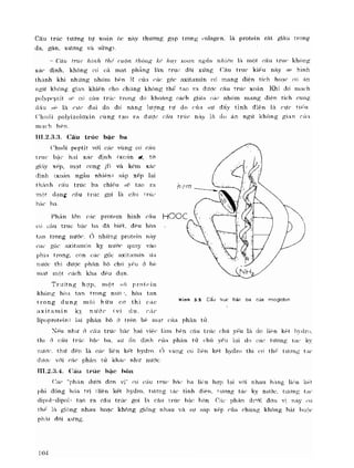 Hóa sinh công nghiệp