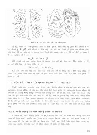 Hóa sinh công nghiệp