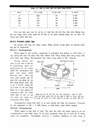 Hóa sinh công nghiệp