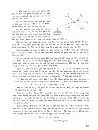 Hóa sinh công nghiệp