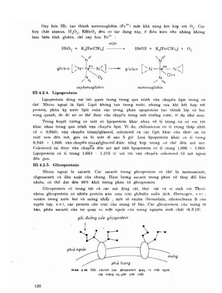 Hóa sinh công nghiệp
