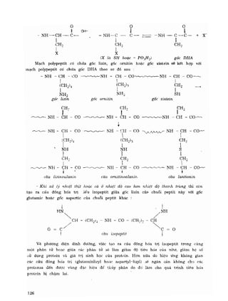 Hóa sinh công nghiệp