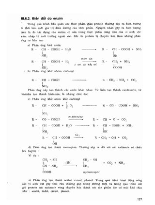 Hóa sinh công nghiệp