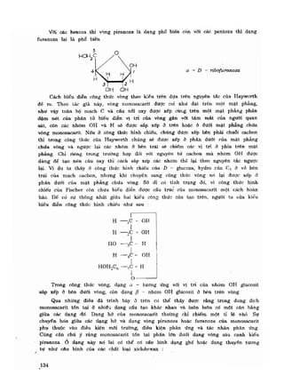 Hóa sinh công nghiệp