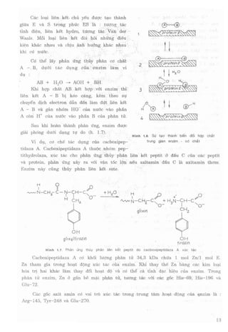 Hóa sinh công nghiệp
