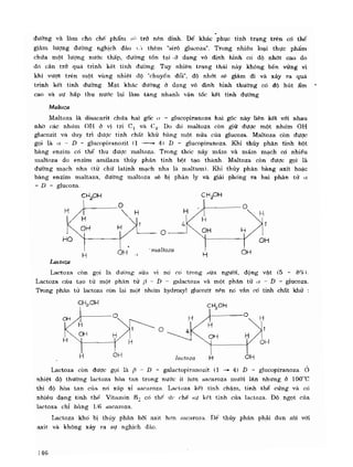 Hóa sinh công nghiệp