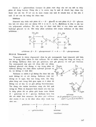 Hóa sinh công nghiệp